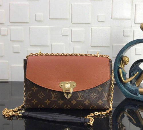Lv monogram brown