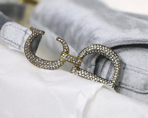 Dior saddle velvet silver