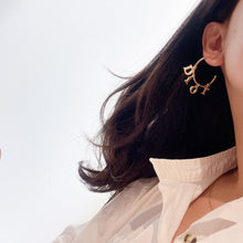 Load image into Gallery viewer, D i o r earrings