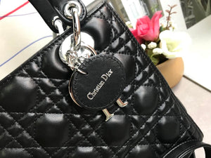 Dior lady 24cm silver/gold